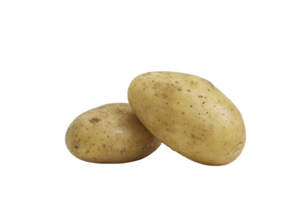 Potato