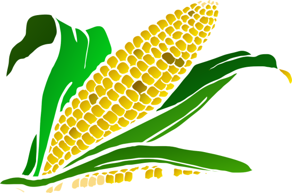 Corn